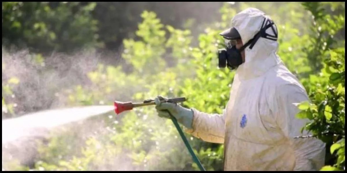 Formation à la fumigation